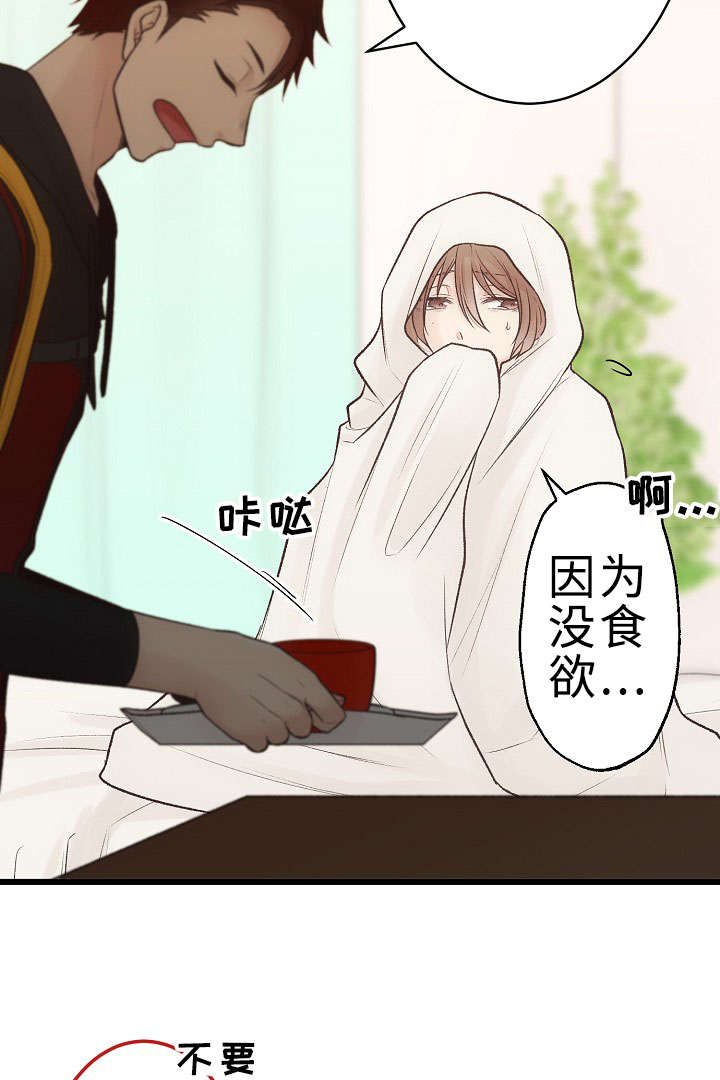 第24章：回归音乐会2