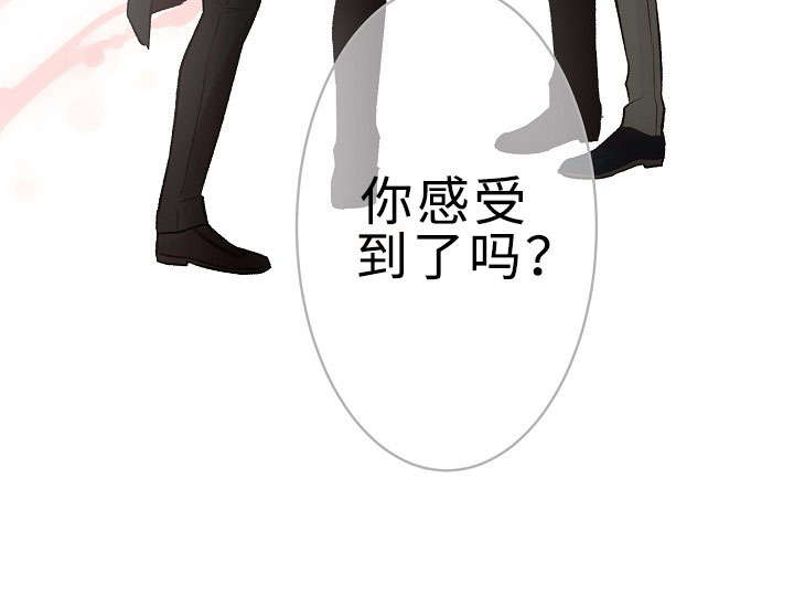第27章：你感受到了吗29