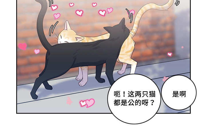 第34章：普通朋友5