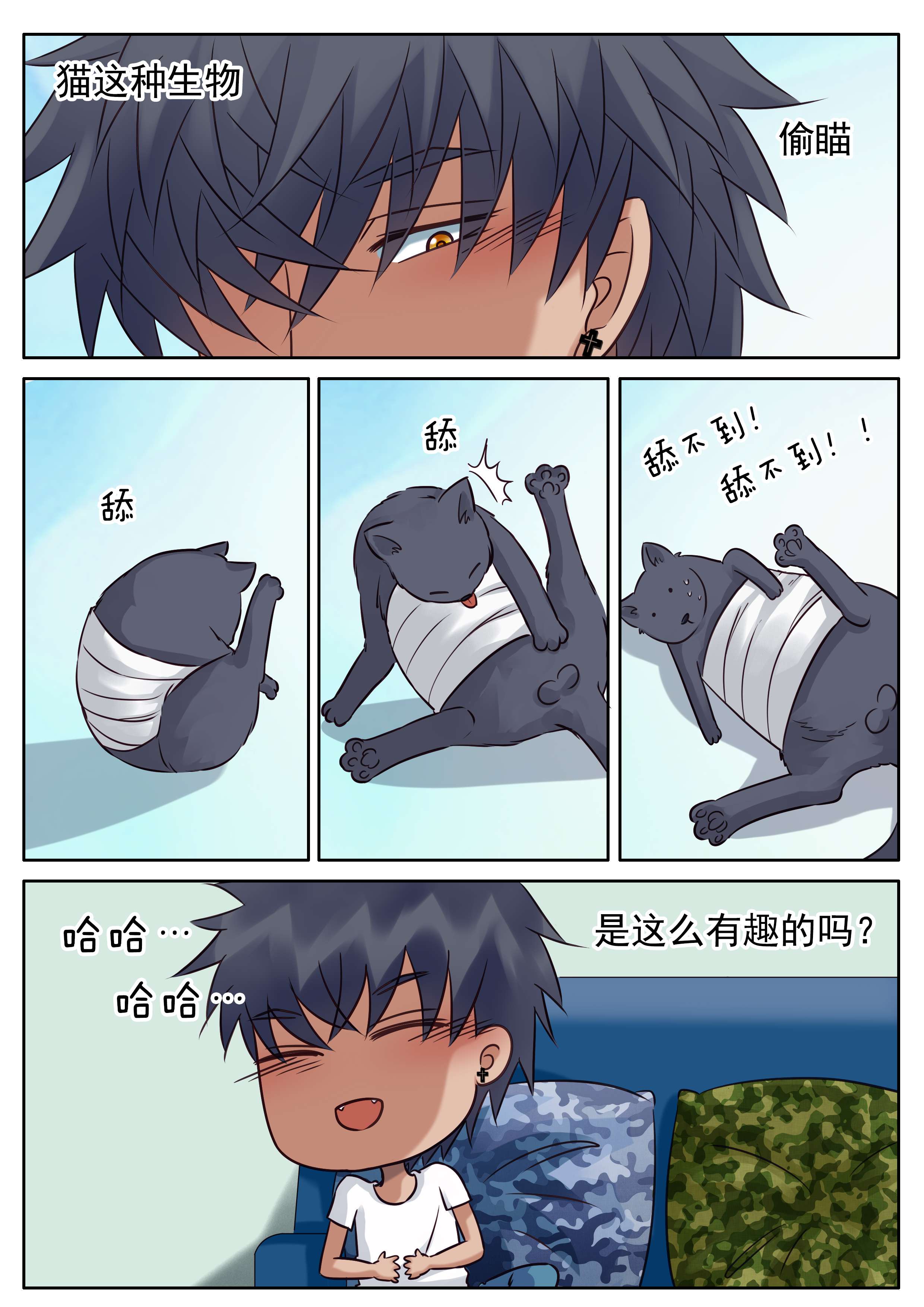 第33章：逗猫5