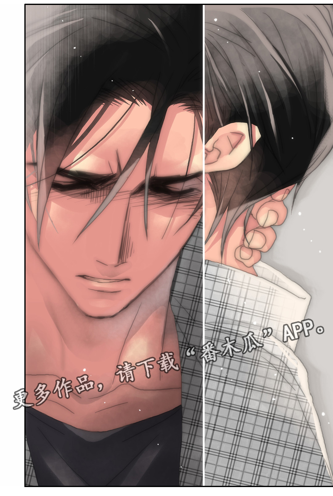 第19章：你敢不敢8