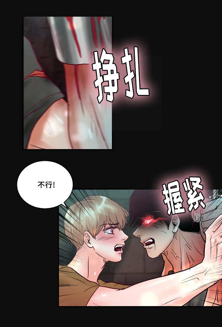 第57章：完结章31