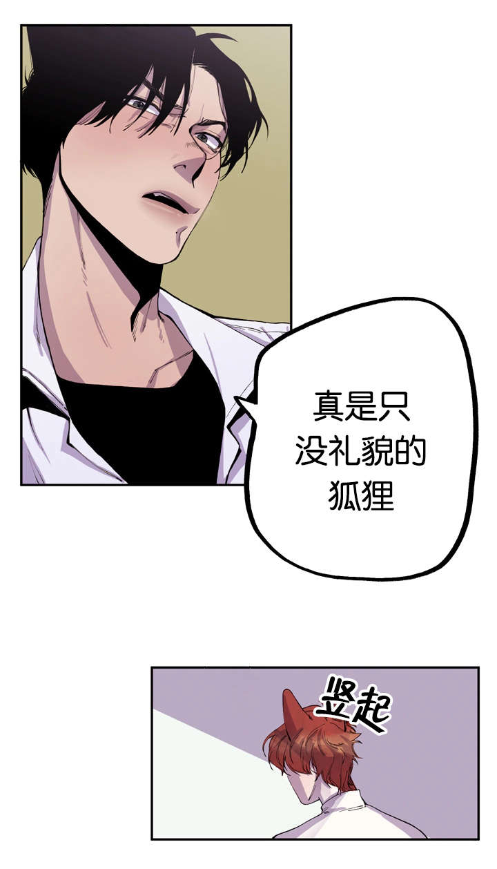 第6章：寻找狐狸7