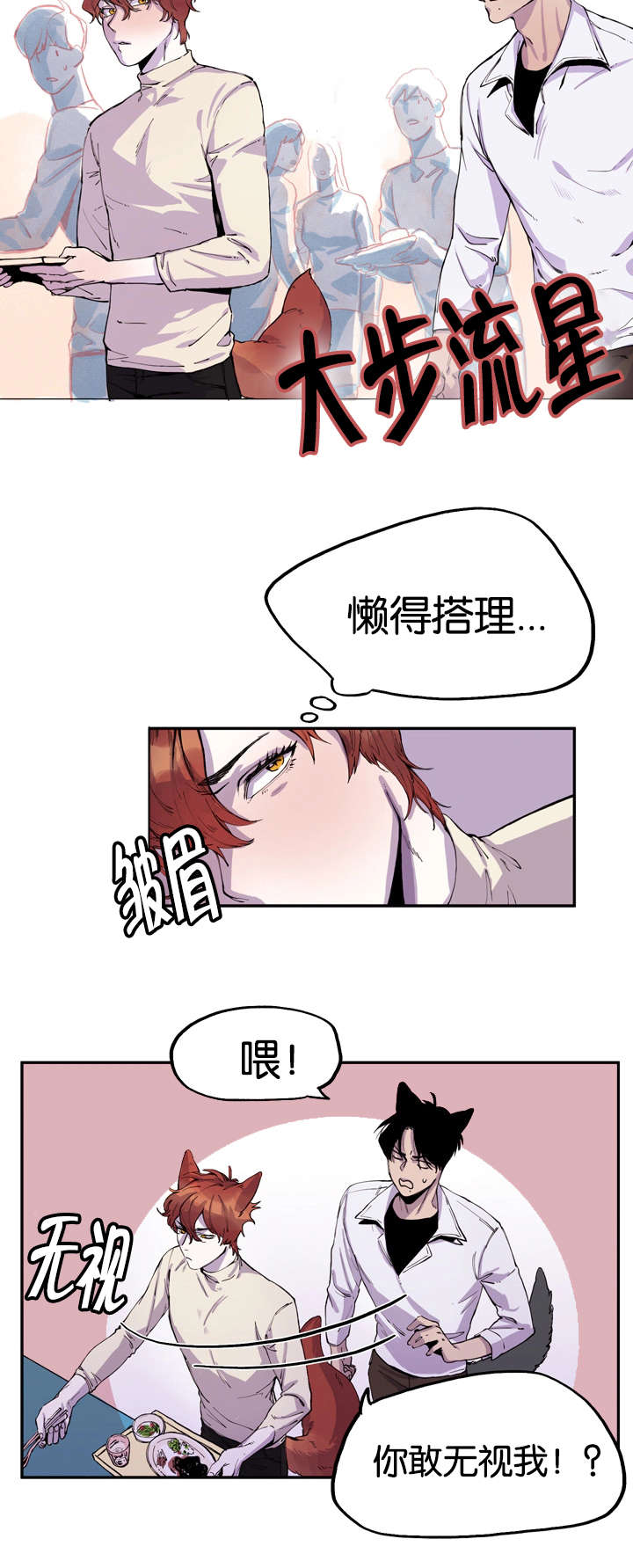 第6章：寻找狐狸6