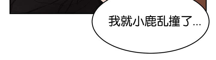 第13章：小鹿乱撞18