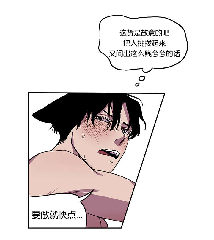 第28章：防线崩塌6