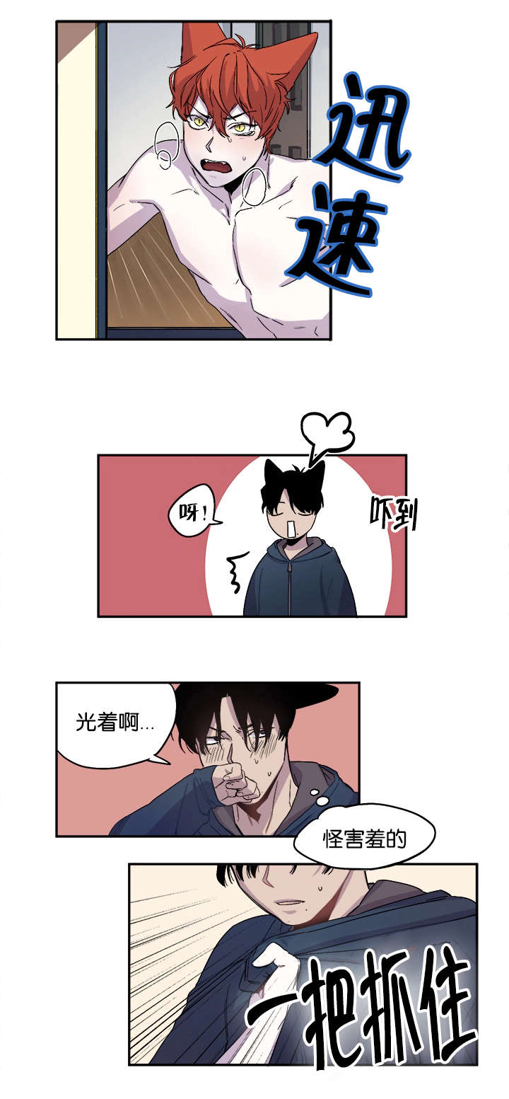 第28章：防线崩塌19