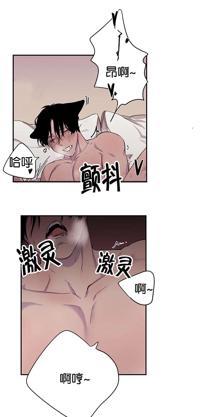 第16章：神志不清11