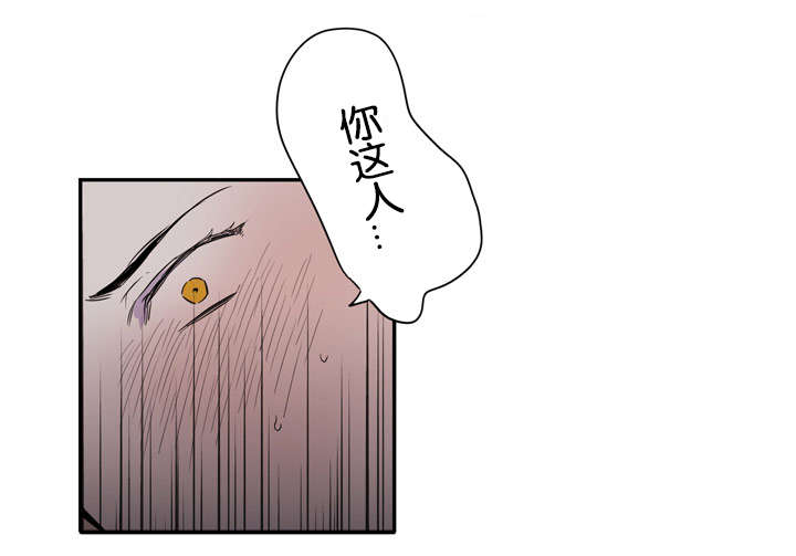 第17章：临阵脱逃0