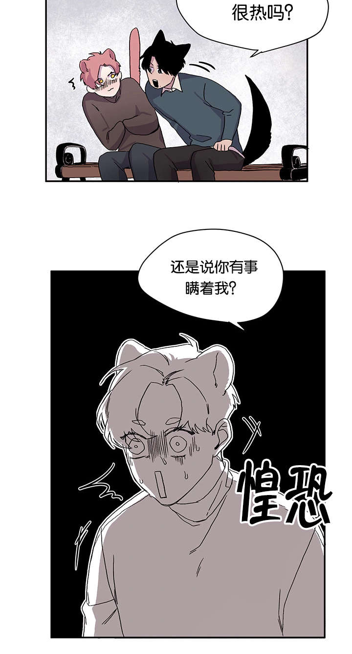 第21章：说出口了10