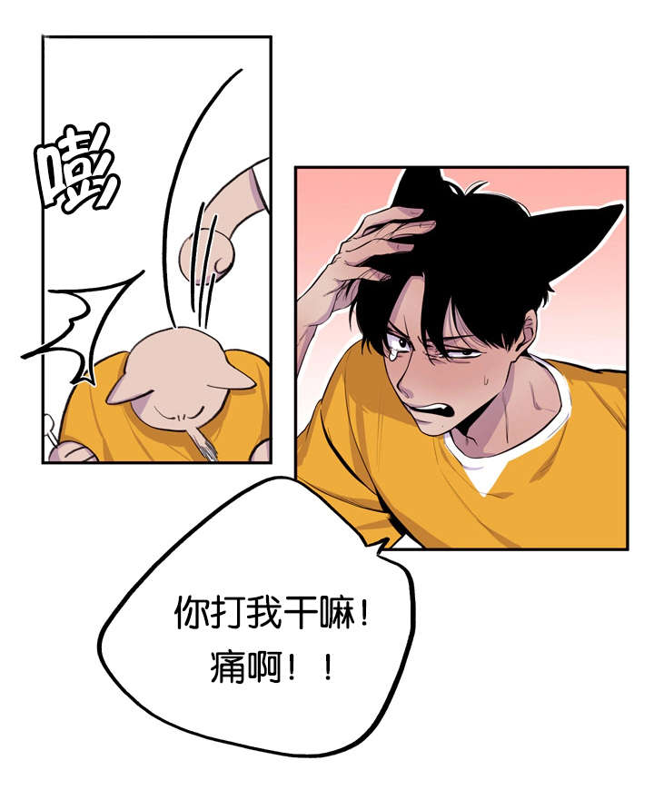 第8章：心跳加速14