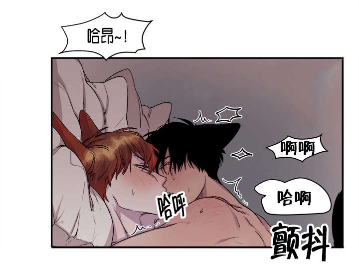第26章：不堪回首的过去17