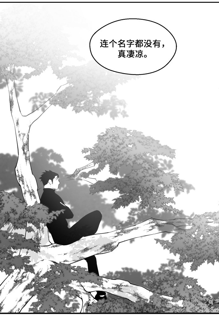 第37章：元气14
