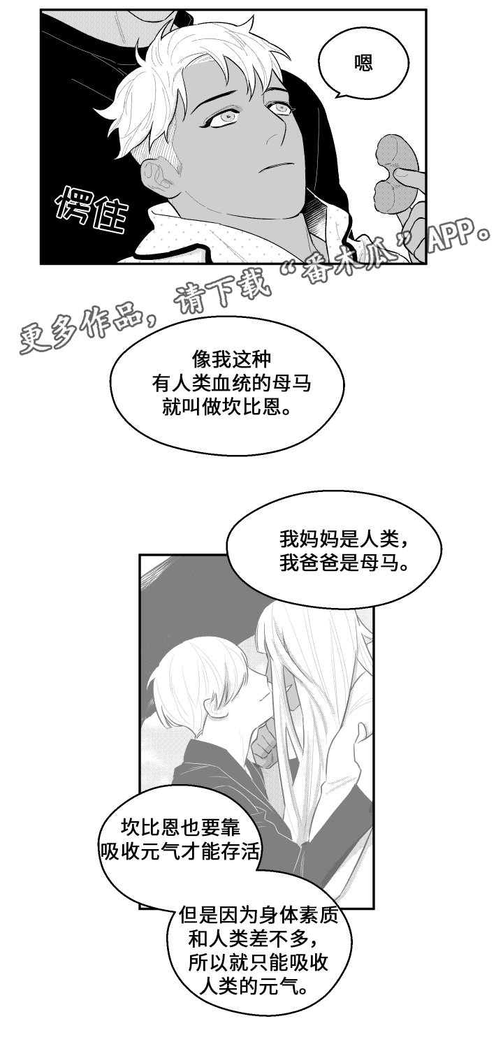 第37章：元气10