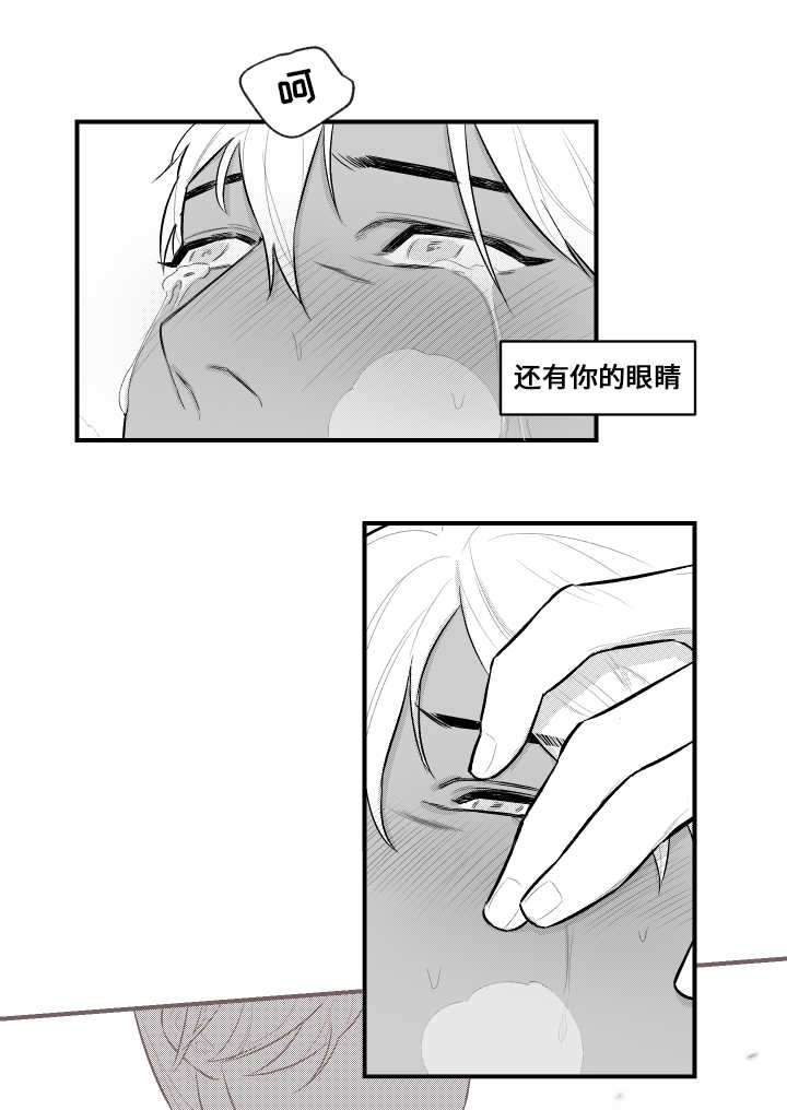 第16章：看望1