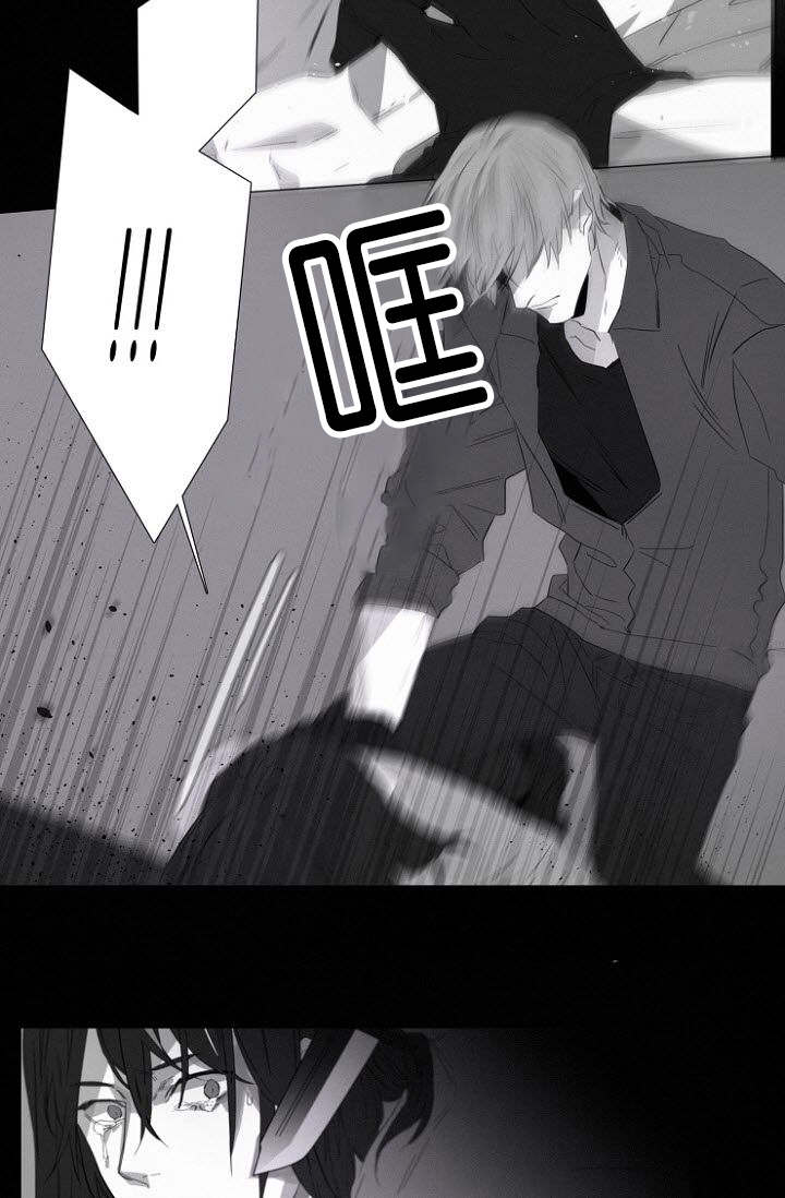 第13章：令人害怕的身份6