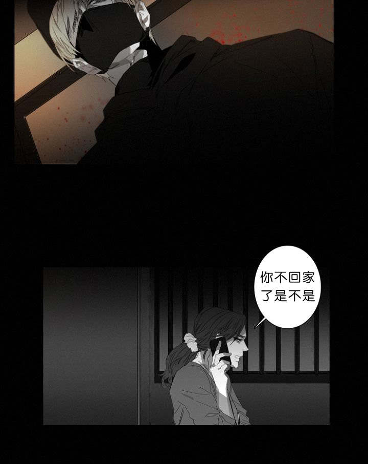 第11章：目击案发现场12