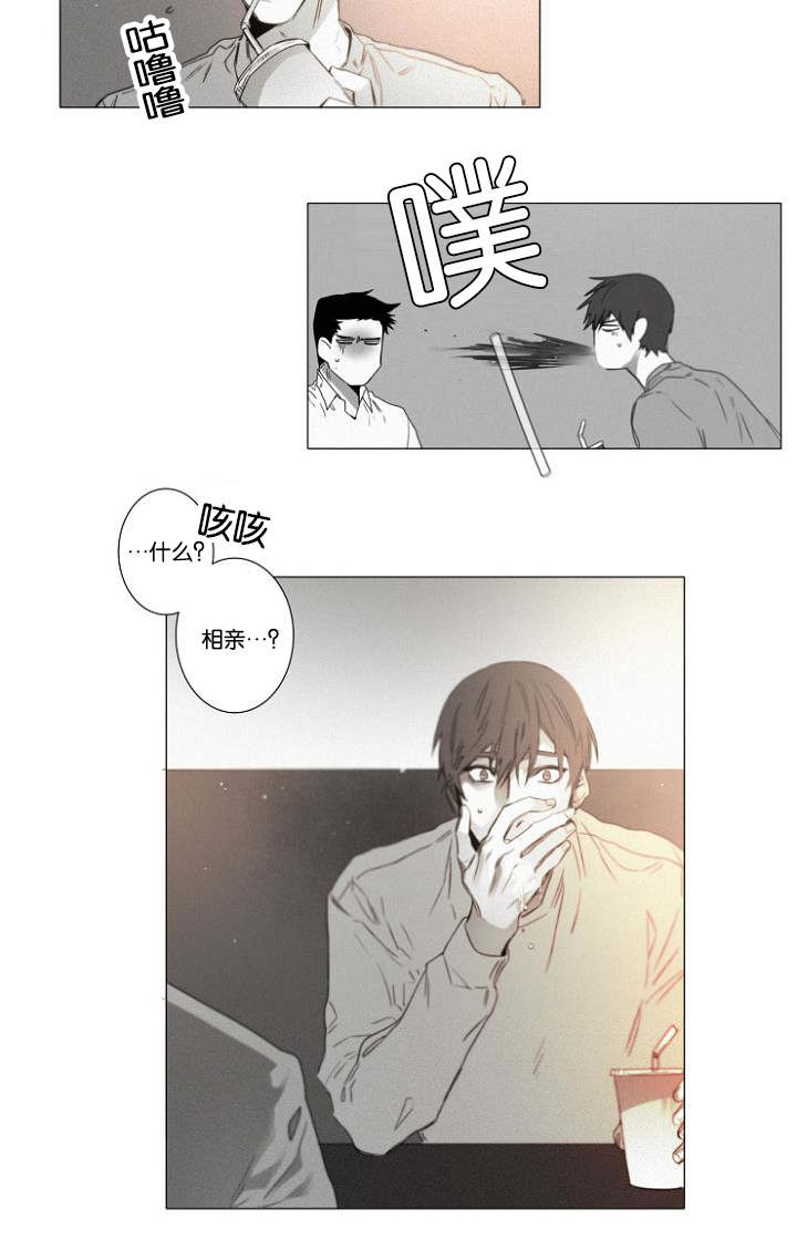 第34章：相亲17