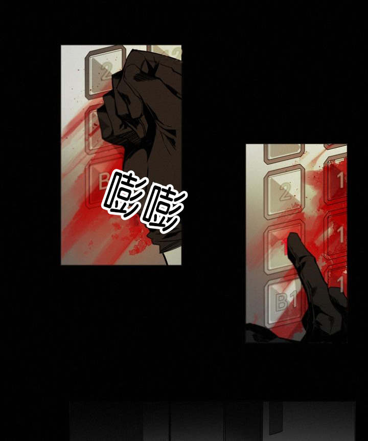 第11章：目击案发现场13