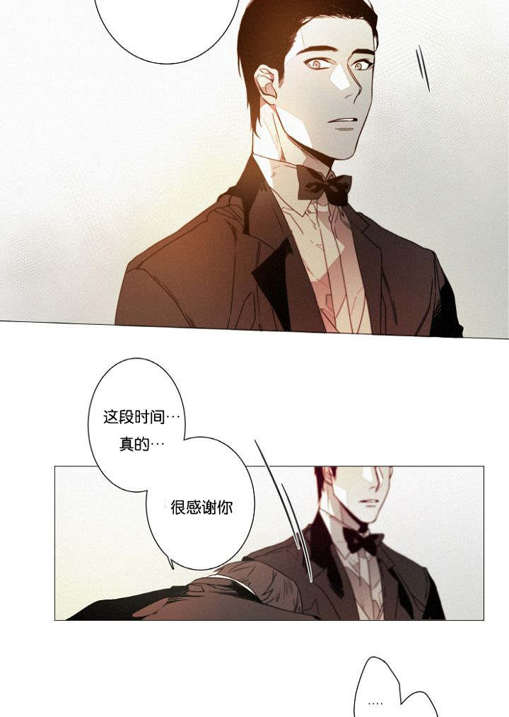 第39章：完结撒花8
