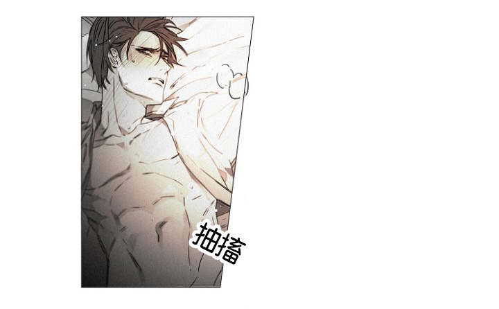 第38章：幸福感7