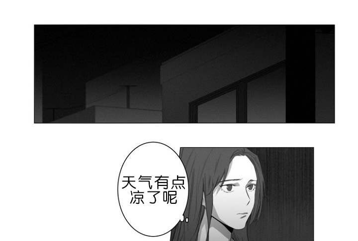 第6章：跟踪4