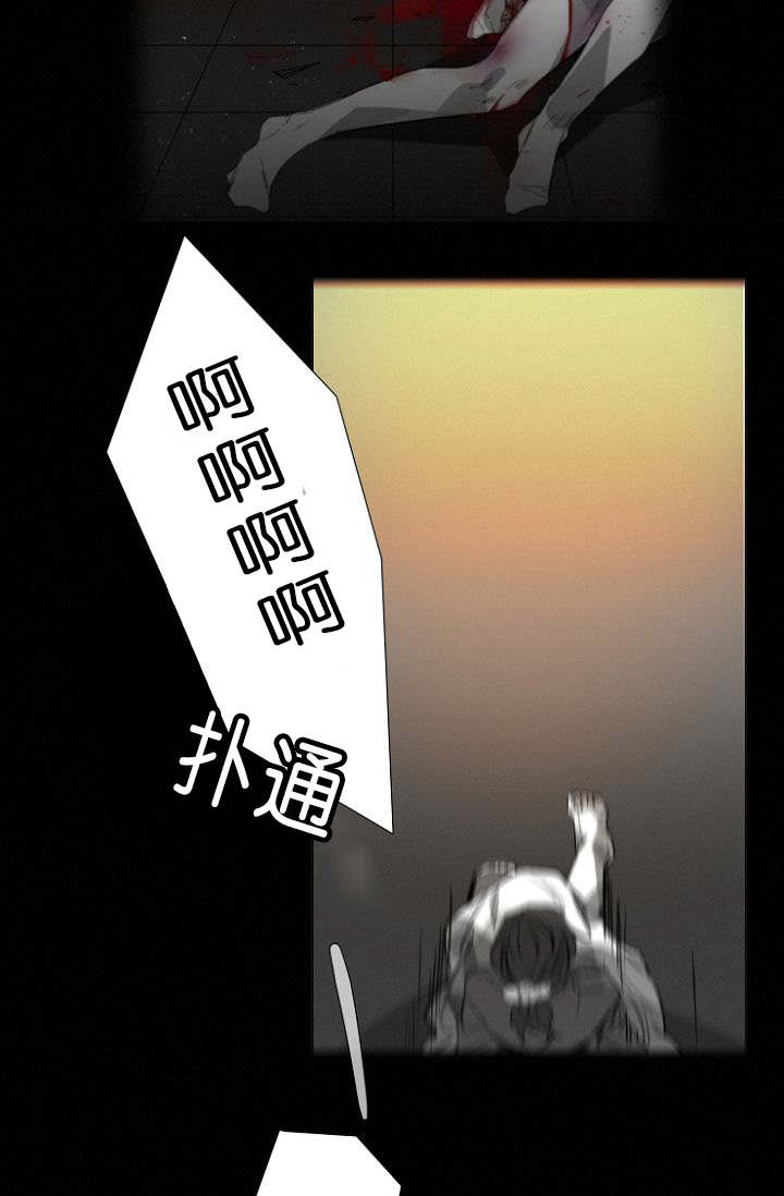 第11章：目击案发现场18