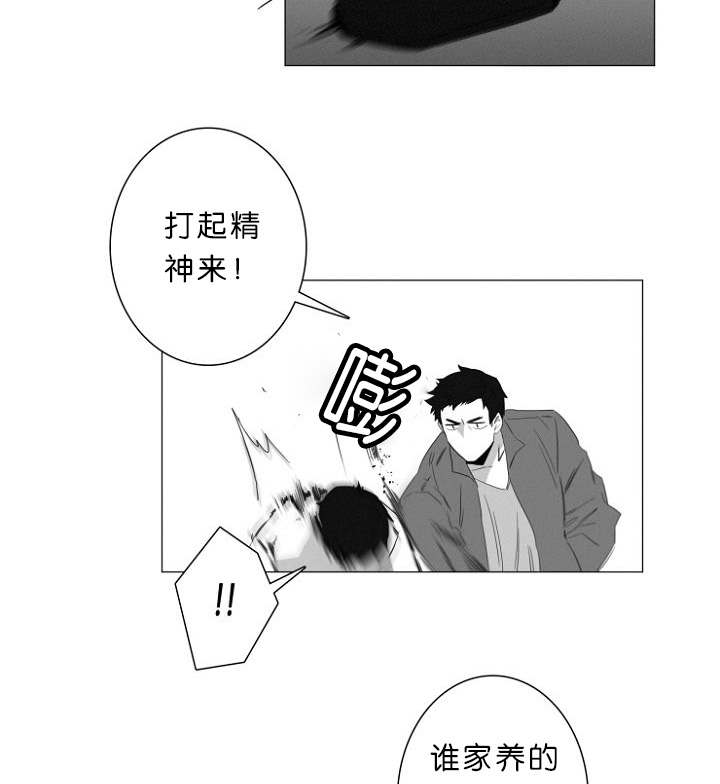 第7章：又一起凶杀案18