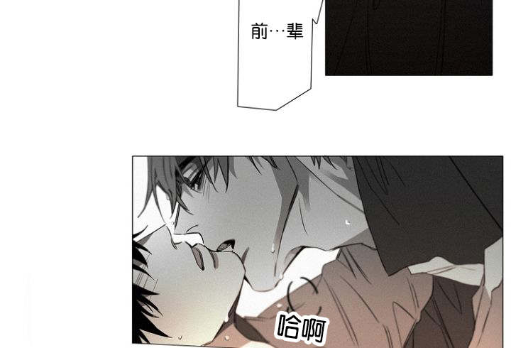 第29章：无法接受却要承担14