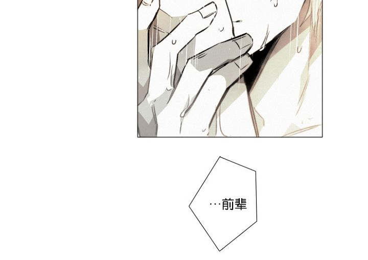 第20章：重聚的幸福18