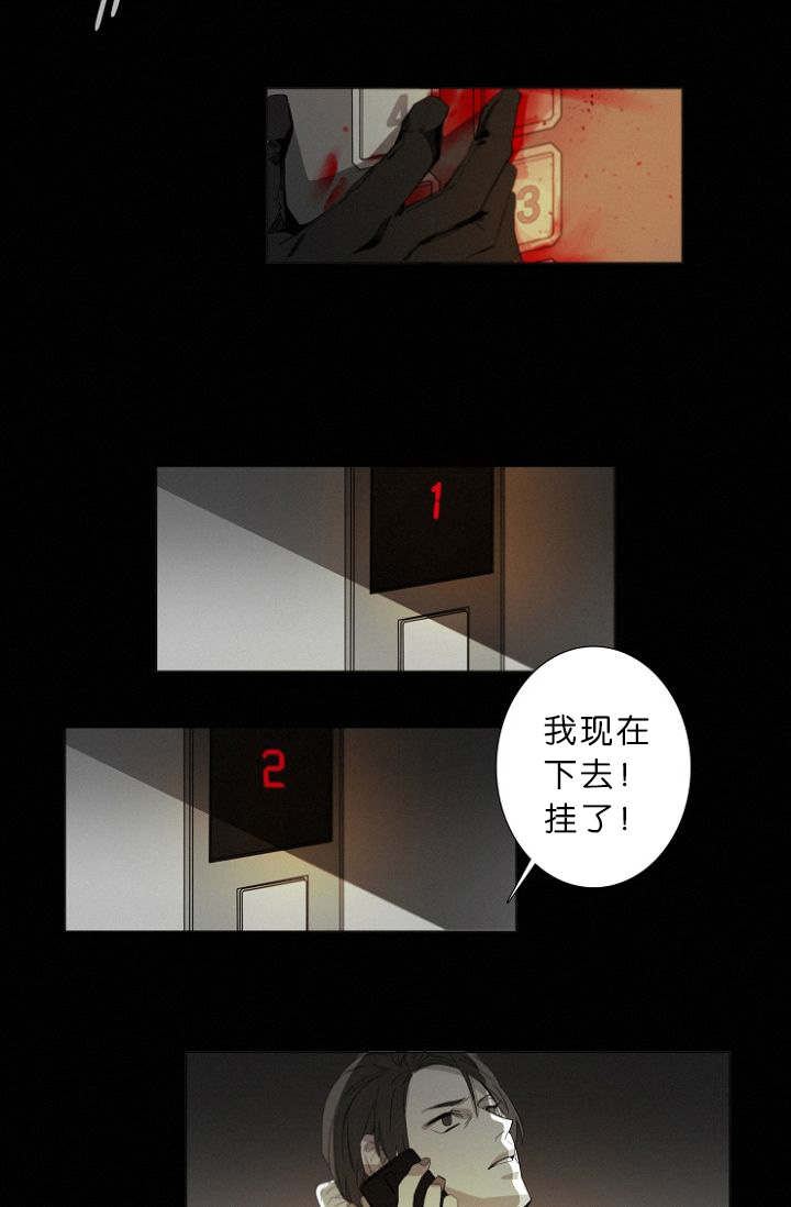 第11章：目击案发现场15