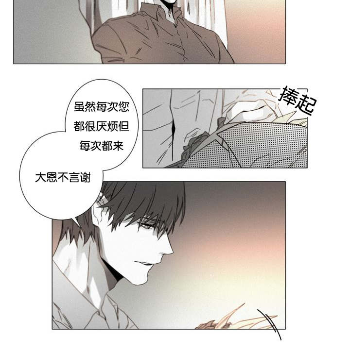 第33章：小花招2