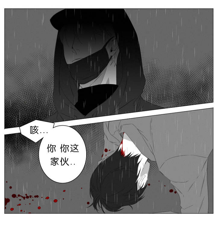 第2章：熟悉的面孔13