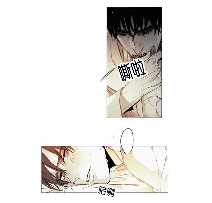 第38章：幸福感14