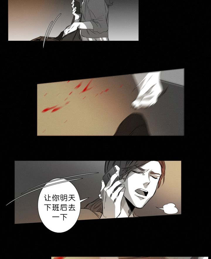 第11章：目击案发现场10