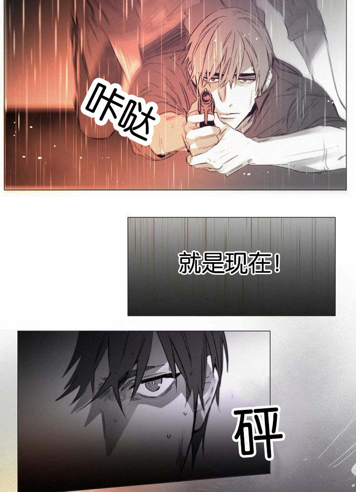 第31章：趁机20