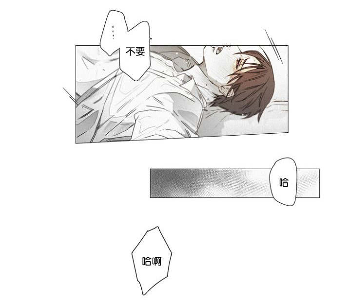 第38章：幸福感8