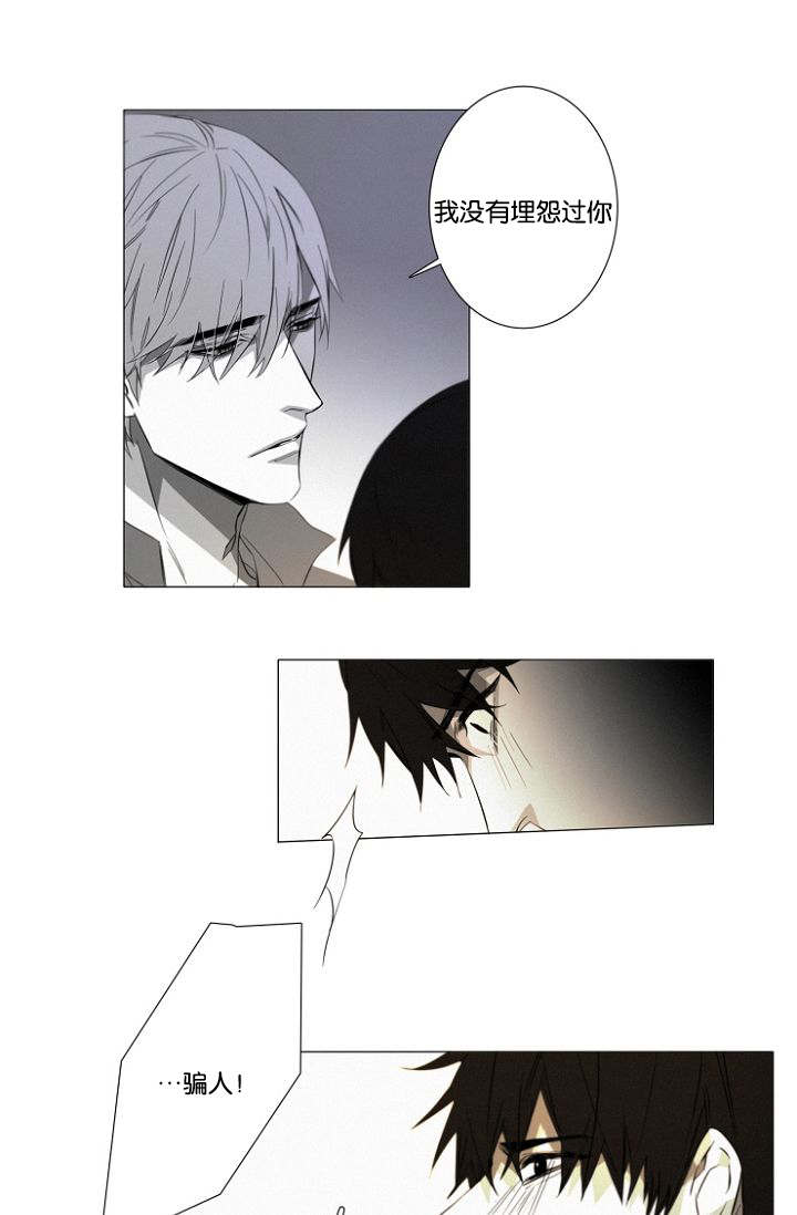 第19章：没有怪过你10