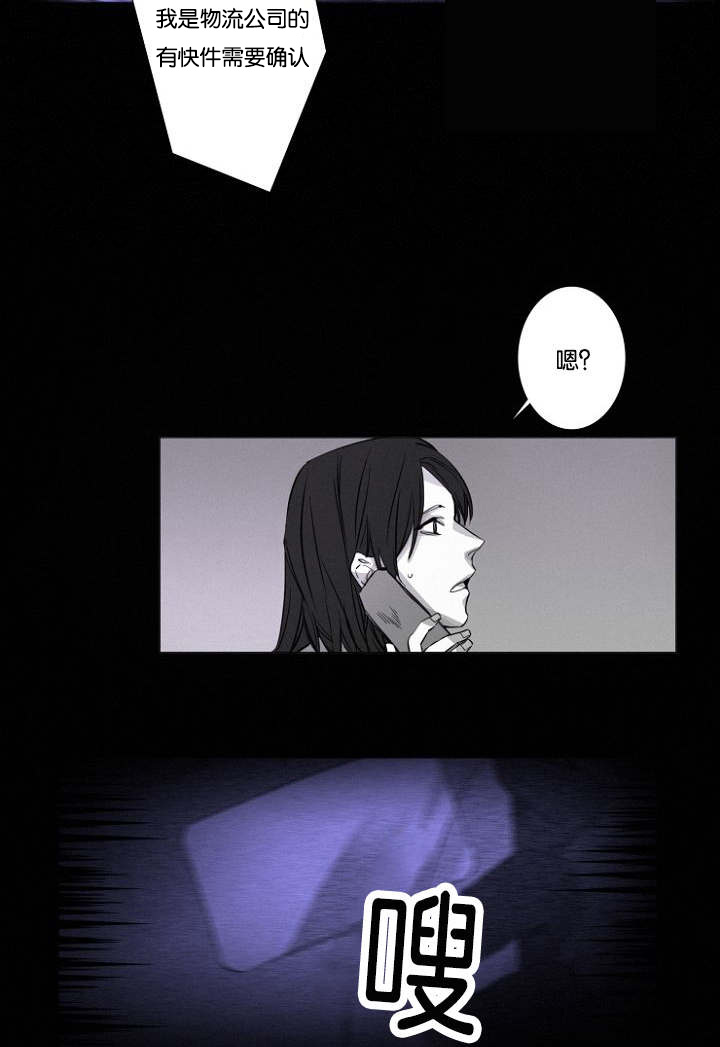 第12章：不速之客17