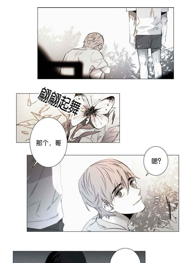第21章：只要你1