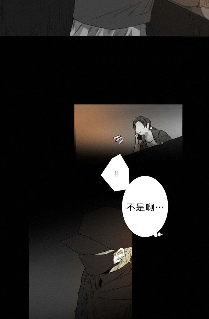 第11章：目击案发现场5