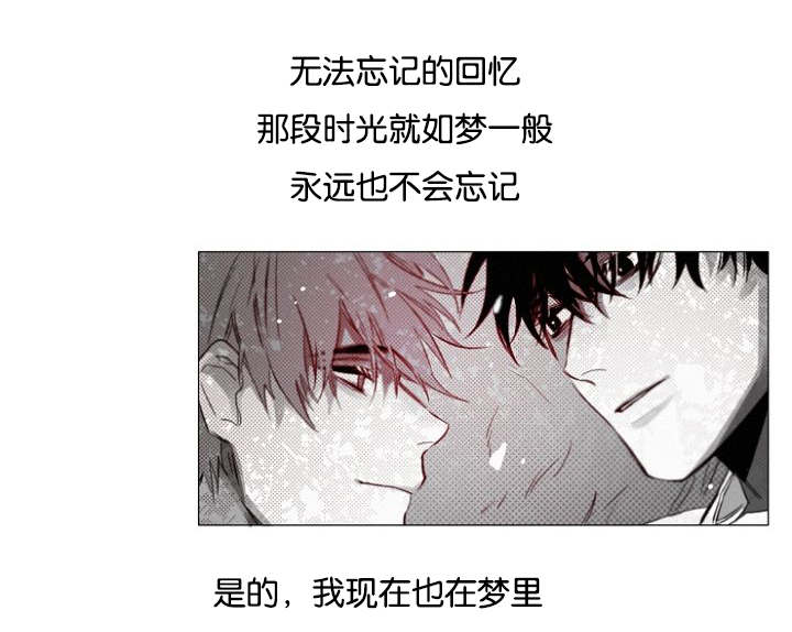 第32章：一起回去吧23