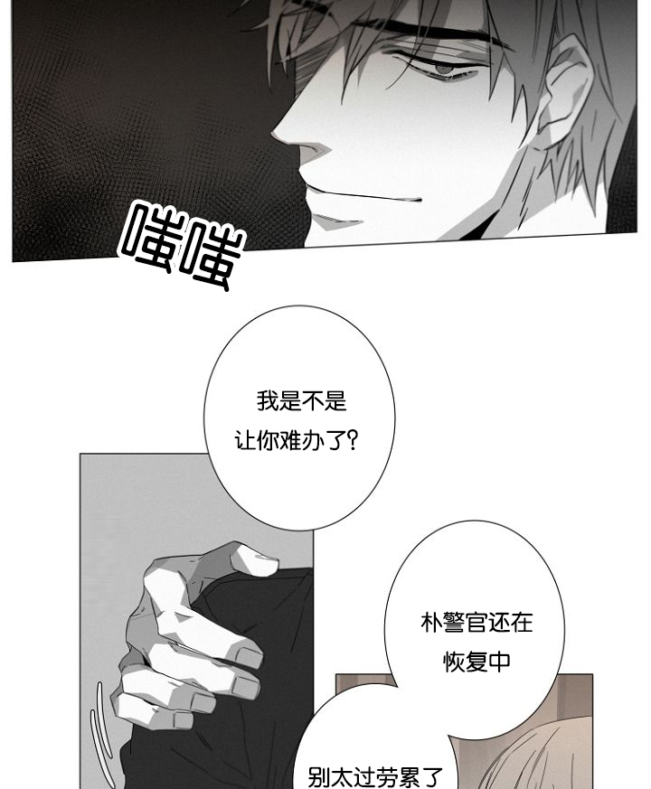 第15章：看望17