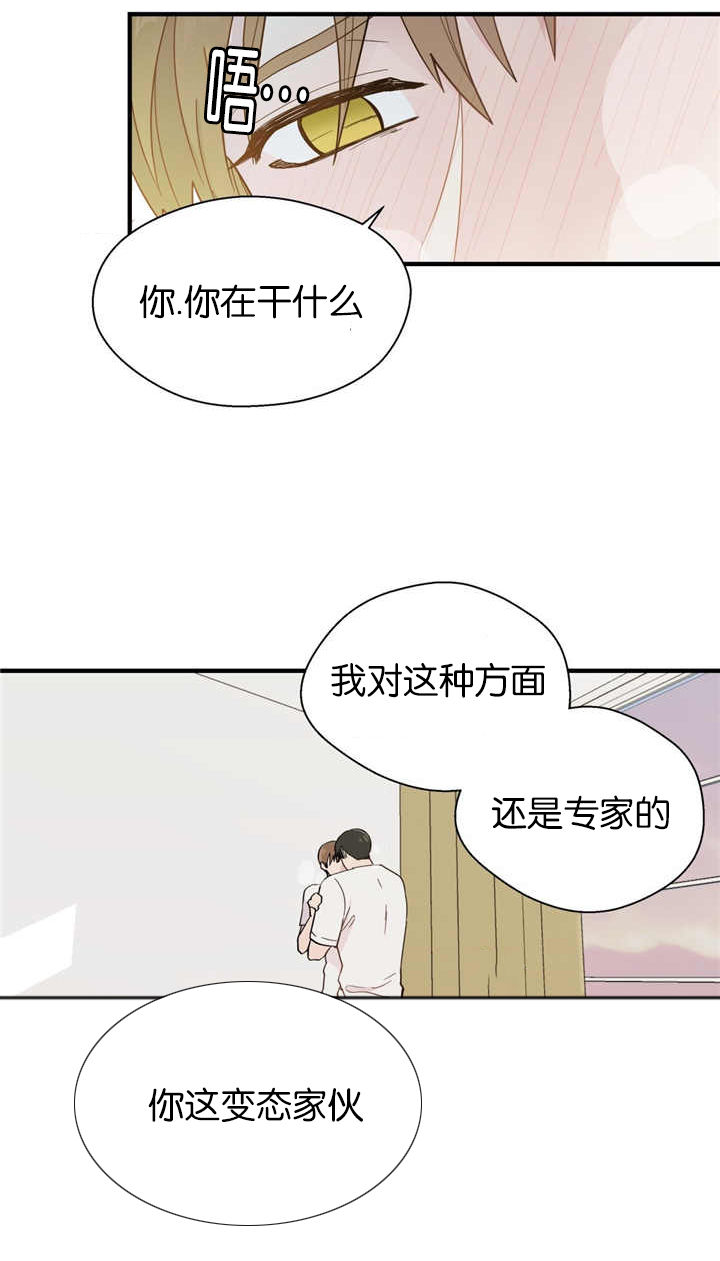 第18章：假装无辜6