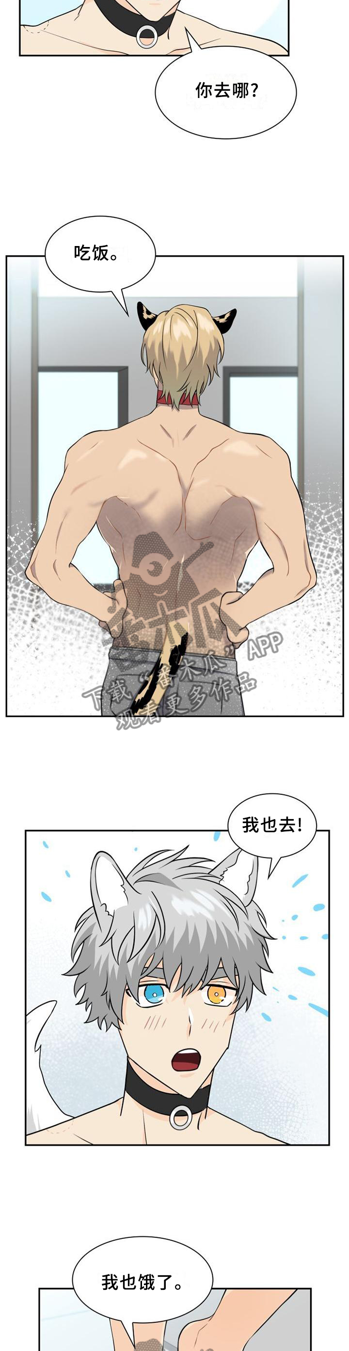 第109章：【第二季】心灵相通2
