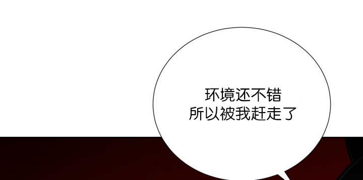 第65章：我的全部12
