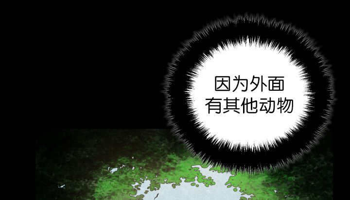 第78章：傲娇小熊猫42