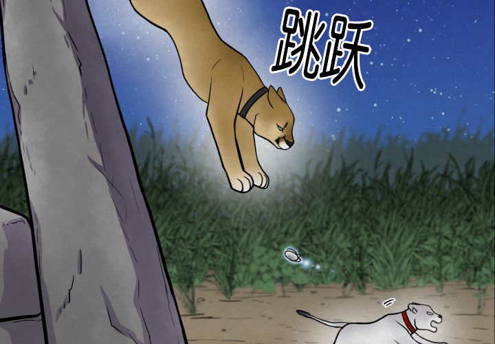 第53章：确认领地23
