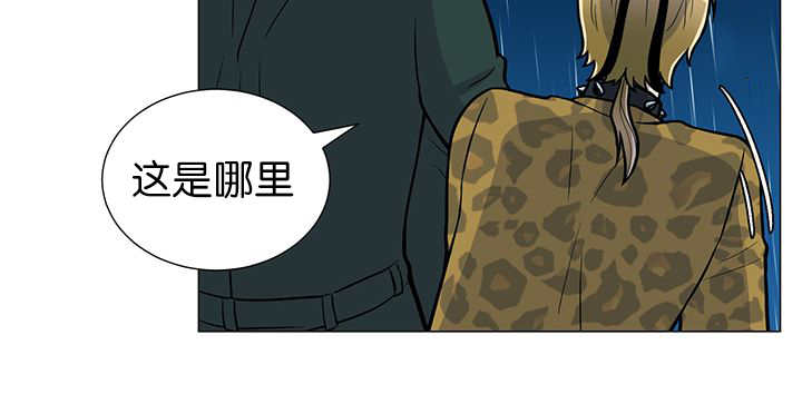 第6章：生出宝宝52
