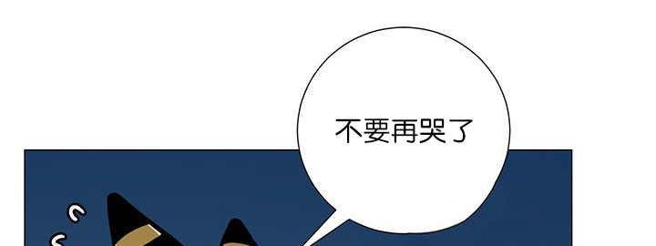 第16章：首选目标33